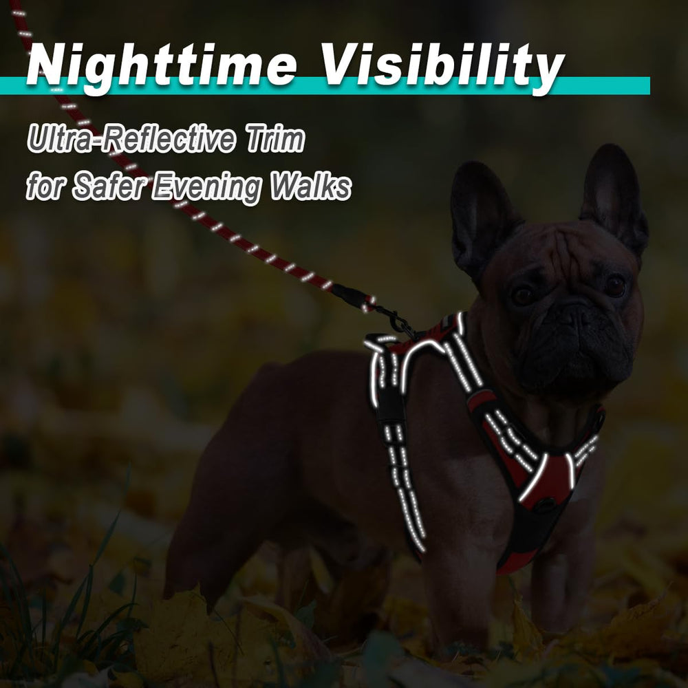 BARKBAY no-pull harness no-choke design reduces pressure while redirecting pace during training