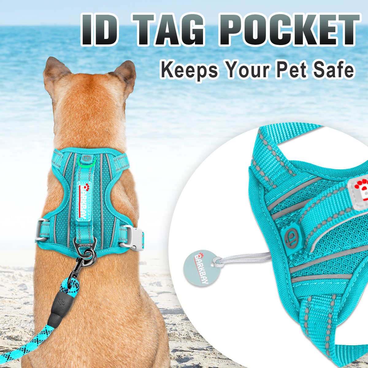 BARKBAY No-Pull Harness Ocean Blue front clip aids training by reducing pulling during runs