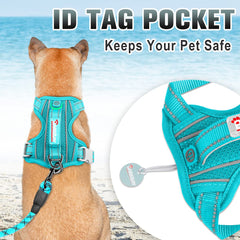 BARKBAY No-Pull Harness Ocean Blue front clip aids training by reducing pulling during runs