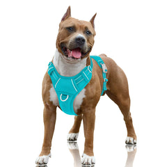 BARKBAY No-Pull Harness Ocean Blue front clip for controlled, comfortable walks