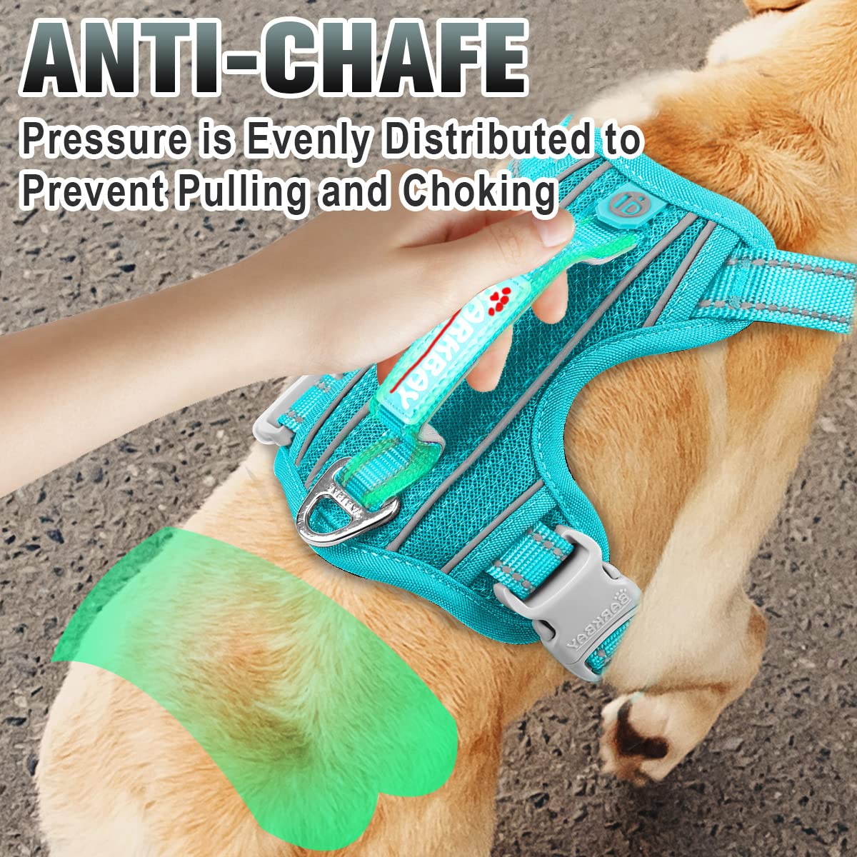 BARKBAY No-Pull Harness Ocean Blue reflective strips improve visibility at dawn or dusk