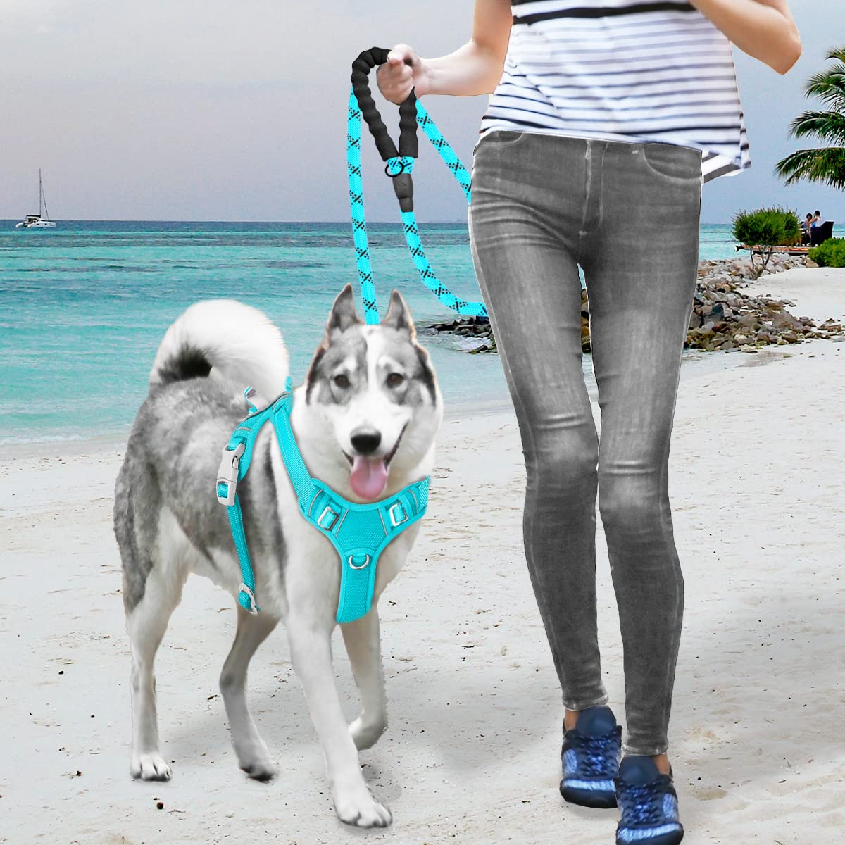 BARKBAY No-Pull Harness Ocean Blue large-size fits bigger dogs safely