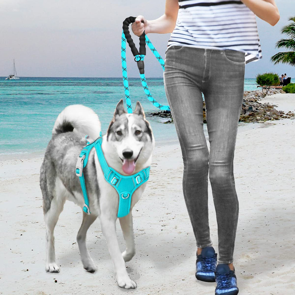 BARKBAY No-Pull Harness Ocean Blue large-size fits bigger dogs safely
