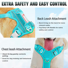 BARKBAY No-Pull Harness Ocean Blue control handle enables quick adjustments during morning walks