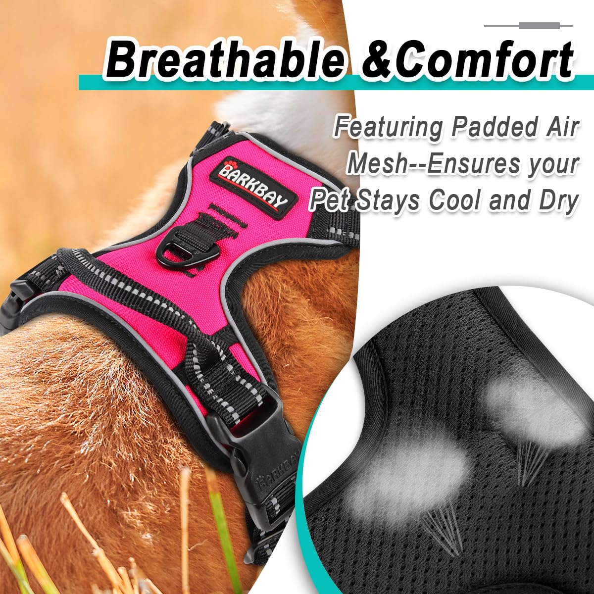 BARKBAY No Pull harness shown during an outdoor walk or hike.
