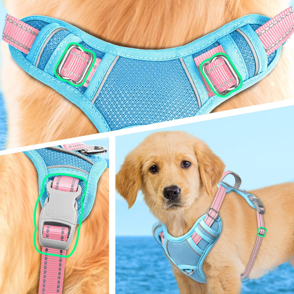 BARKBAY Quick-release buckle enables easy on-off during busy mornings