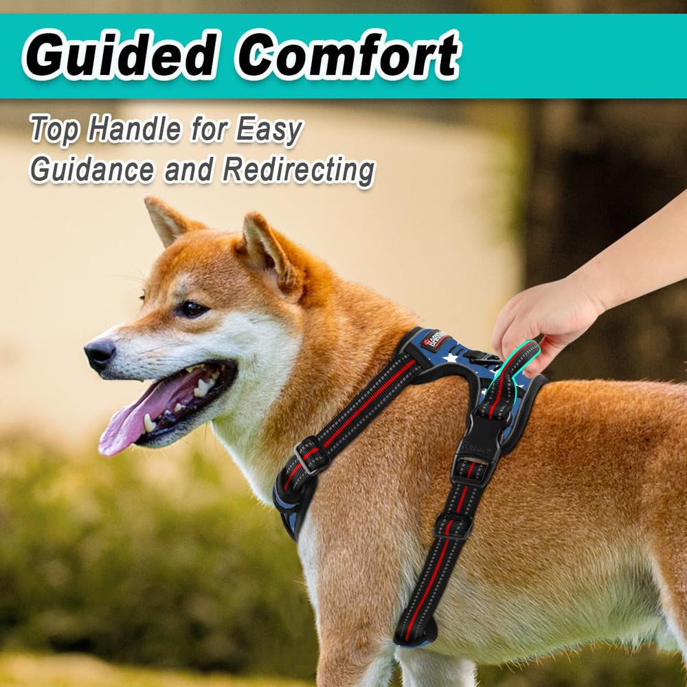 BARKBAY No-Pull Harness reflective straps boost visibility during dusk walks.