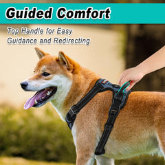 BARKBAY harness close-up highlighting breathable, durable materials for extended outdoor adventures.