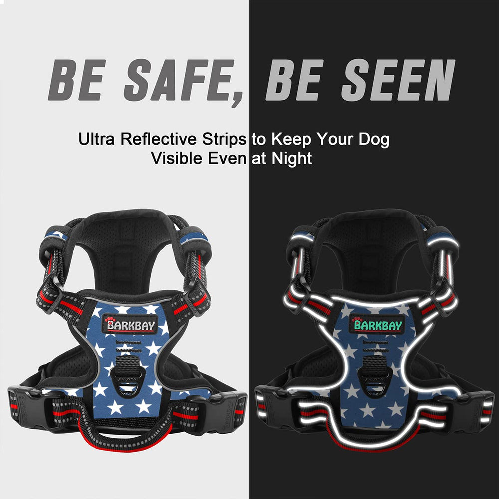 BARKBAY ultra-reflective strips increase visibility during night walks.