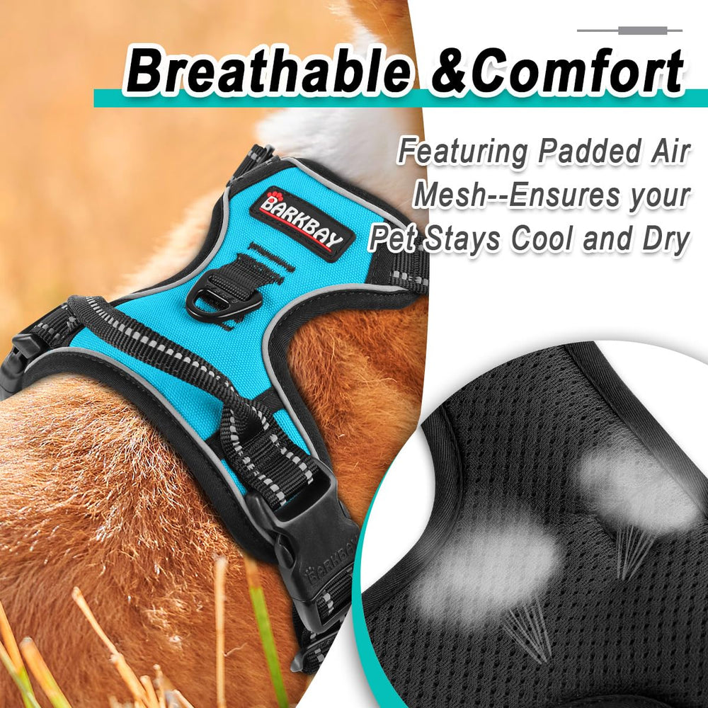 BARKBAY packaging and quick-start guide included for easy setup.