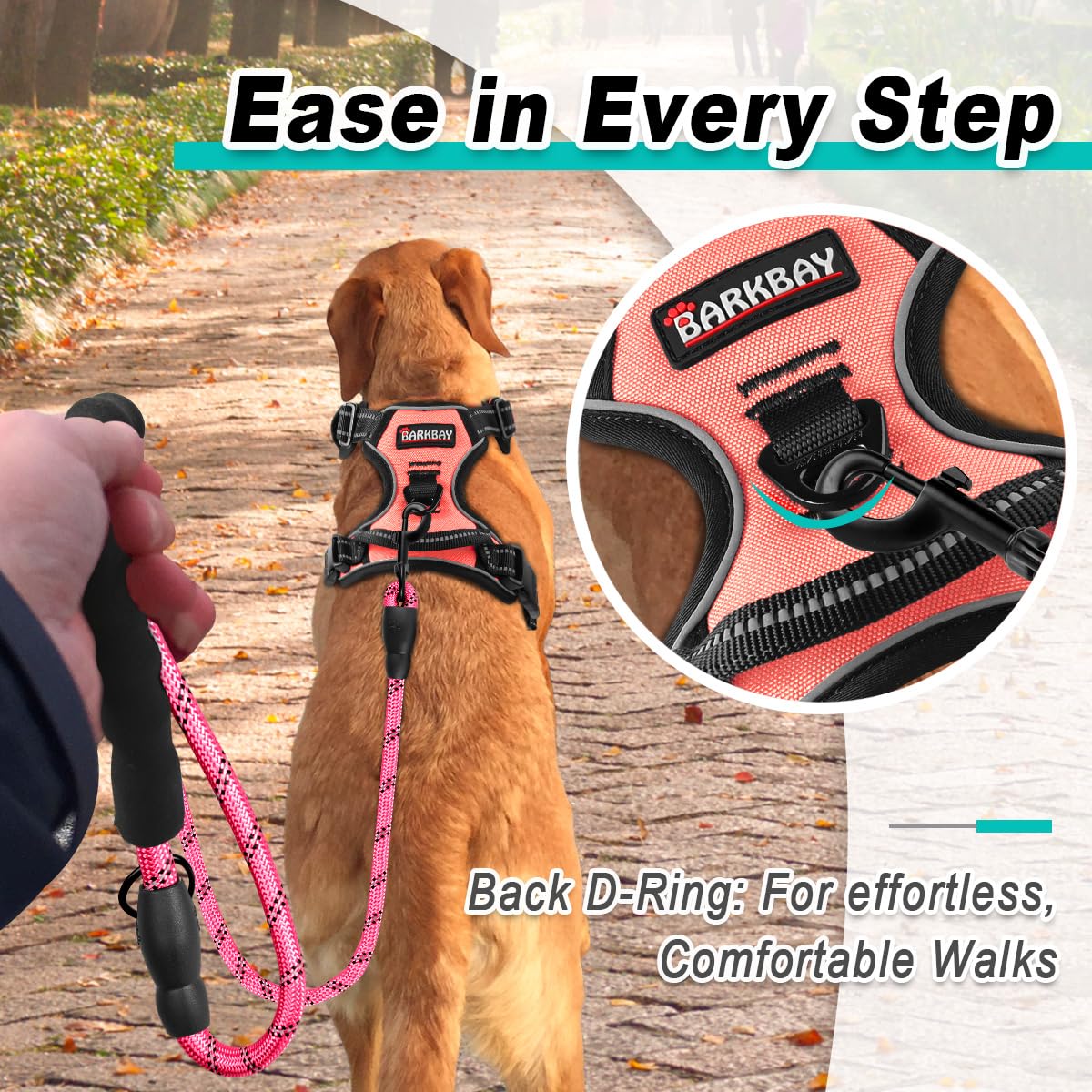 BARKBAY reflective straps improve visibility during evening strolls