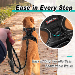 BARKBAY reflective straps increase visibility for early morning and evening walks