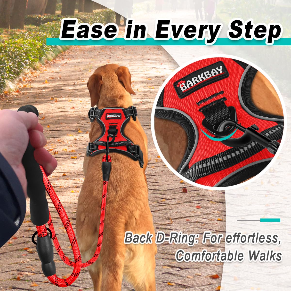 BARKBAY reflective-straps increase visibility for dawn or dusk walks.