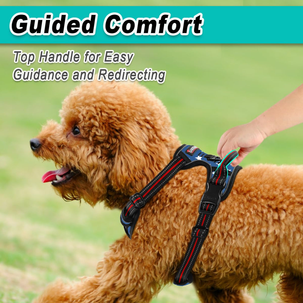 BARKBAY Reflective straps boost visibility during dawn or dusk walks.