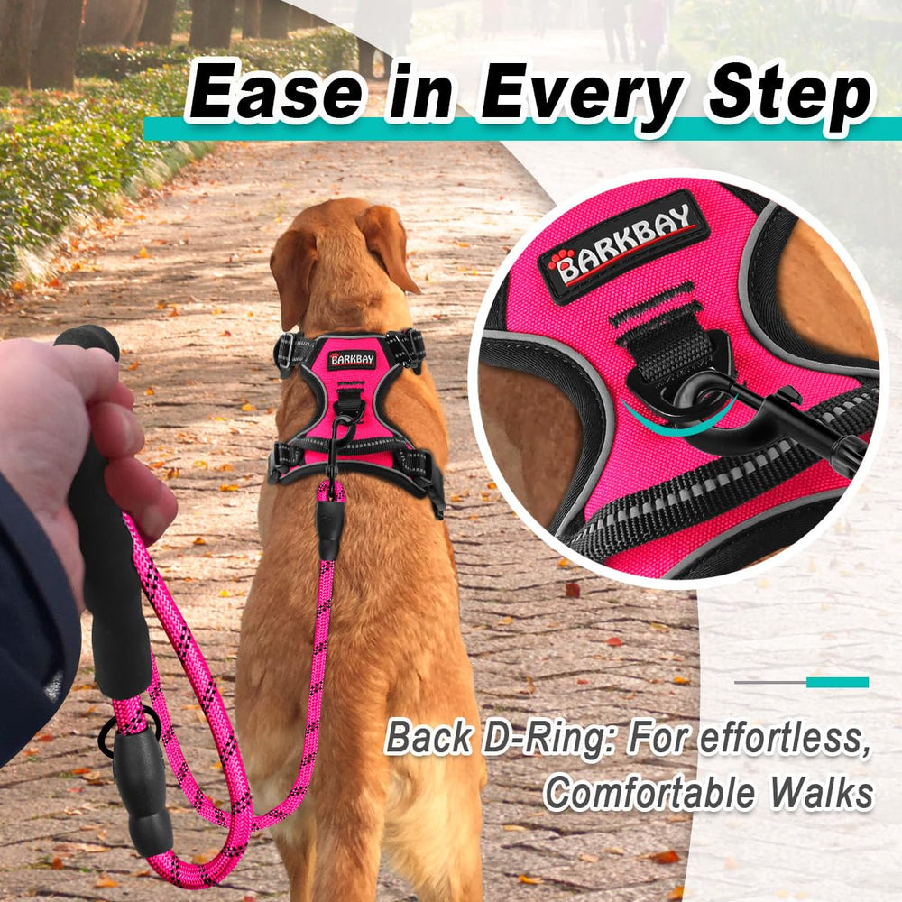 BARKBAY reflective straps on pink harness boost visibility for early morning walks.