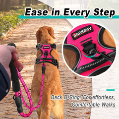 BARKBAY reflective straps on pink harness boost visibility for early morning walks.