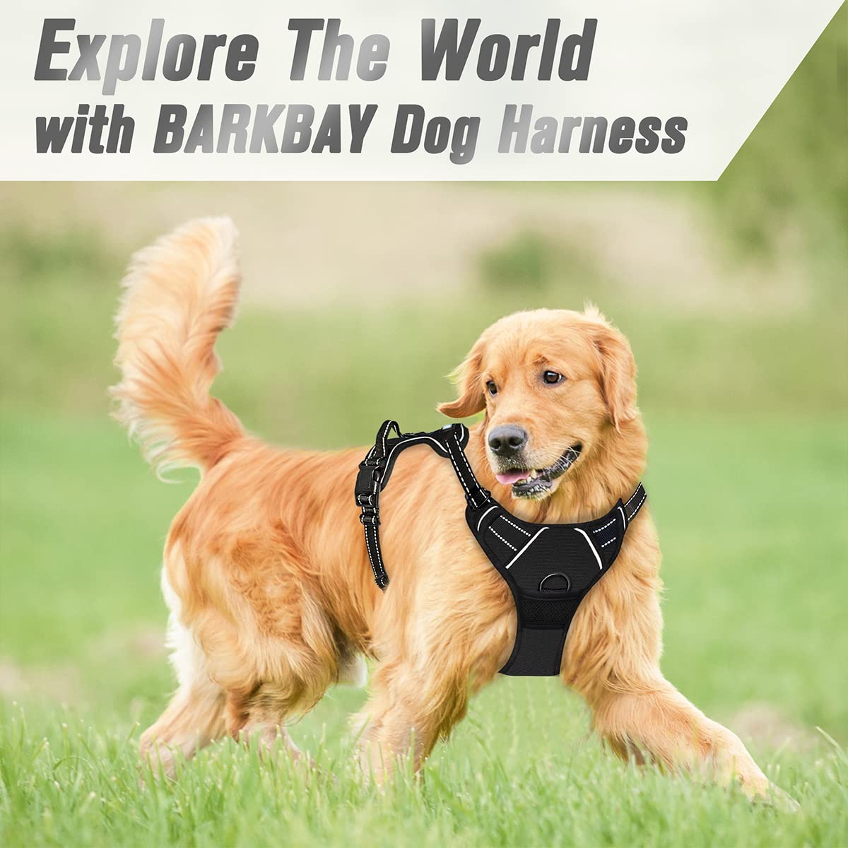 BARKBAY size-l black-harness framed for large dogs and comfort.