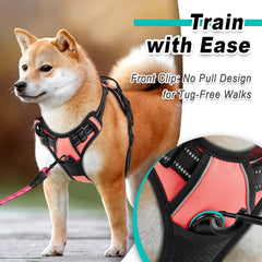 BARKBAY Small-Dog Harness Adjustable Fit supports secure daily wear during outdoor adventures.