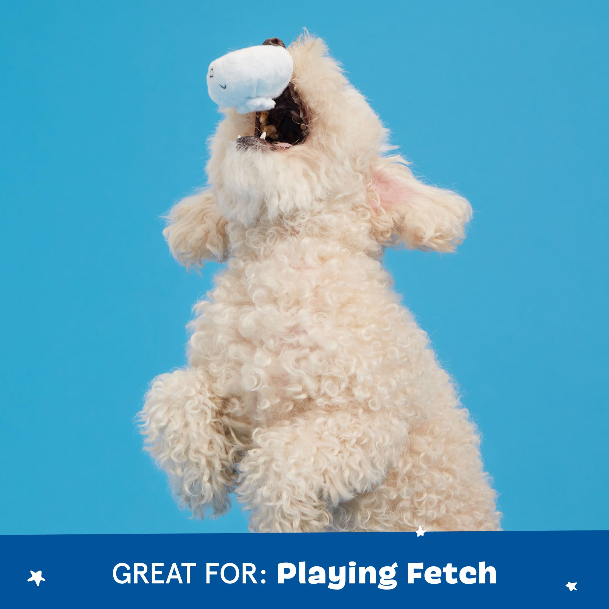 BarkBox 2in1 puppy chewing action showcases durability against tough chewers.