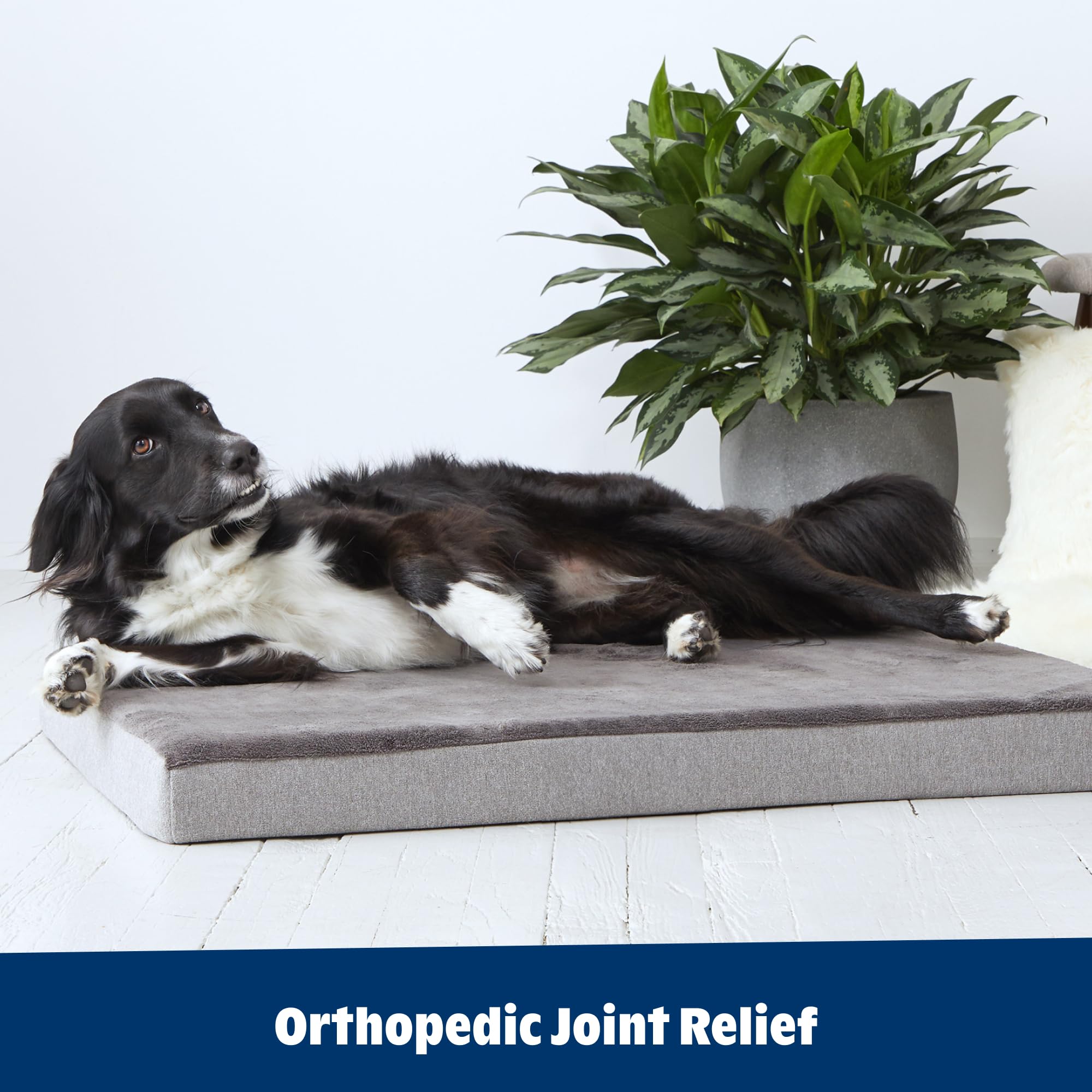 Barkbox Orthopedic Bed grey colorway closeup complements modern home decor.