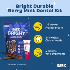 Barkbox Berry Mint dental gel tube ready for minty fresh breath during brushing