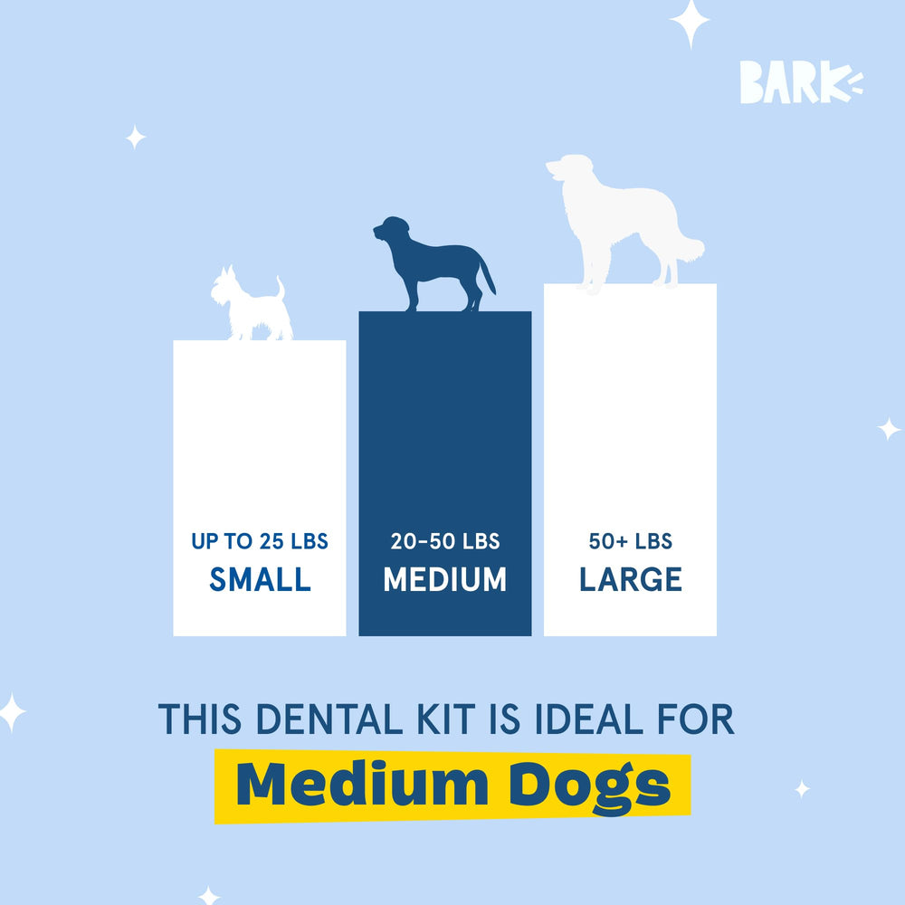 BarkBox Bright breath freshening effect offers a pleasant daily refresh for dogs