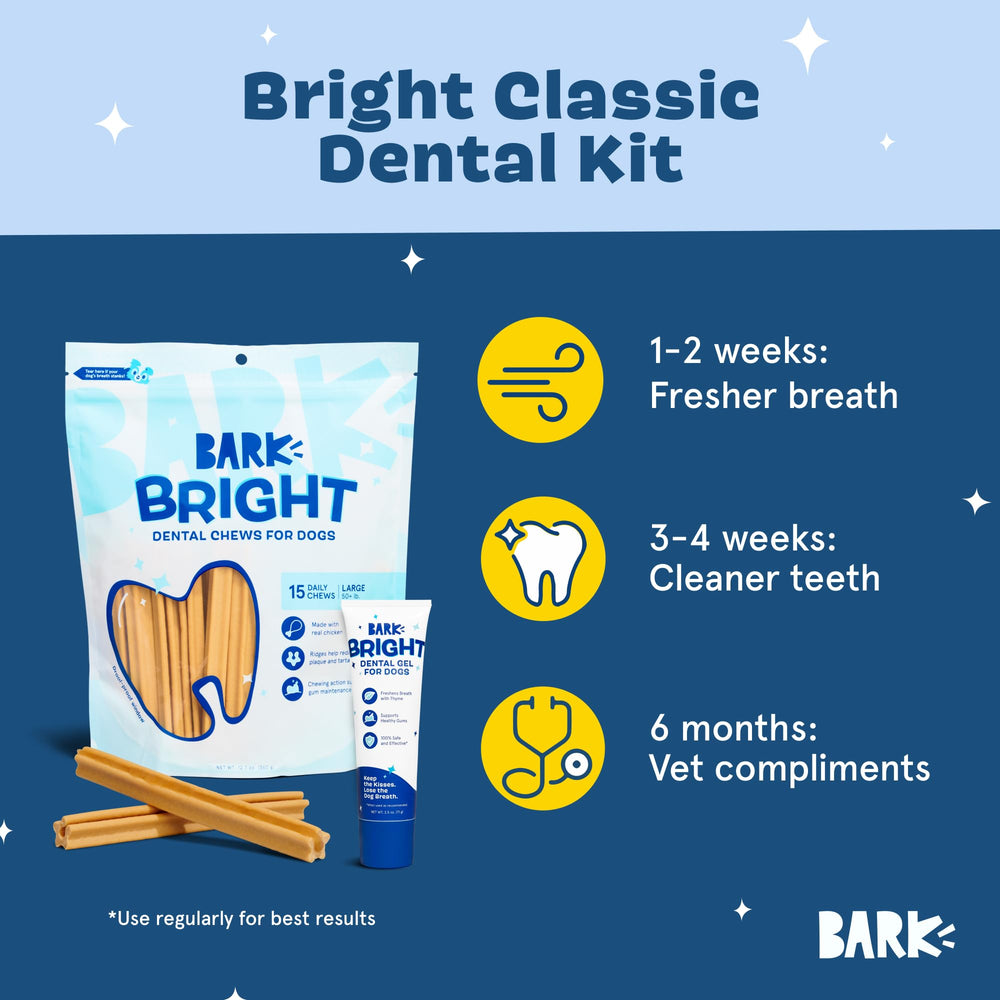 Barkbox Bright chicken and thyme flavor to encourage dental time.