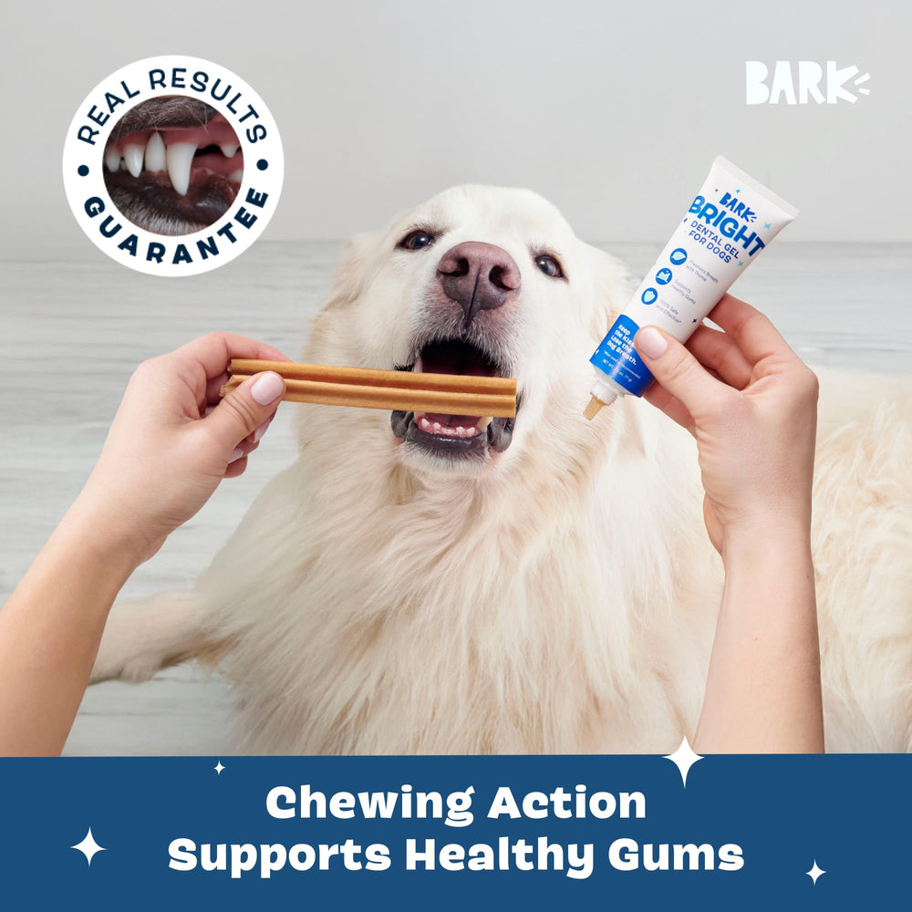 Barkbox Bright curved grooves guide gel to hard-to-reach spots.