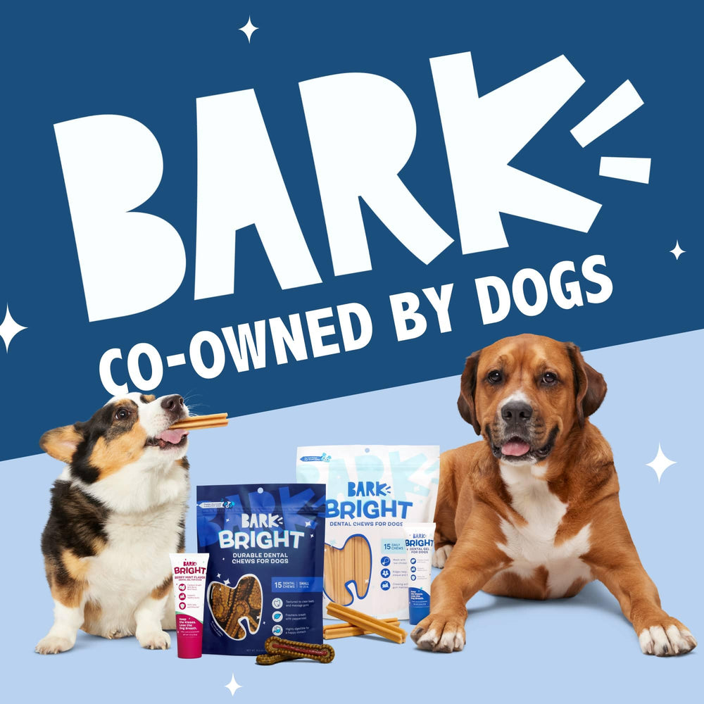 Barkbox Bright supports a simple daily dental routine for large breeds.