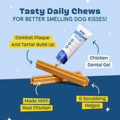 BarkBox Bright dental gel toothpaste ready for at home dental care
