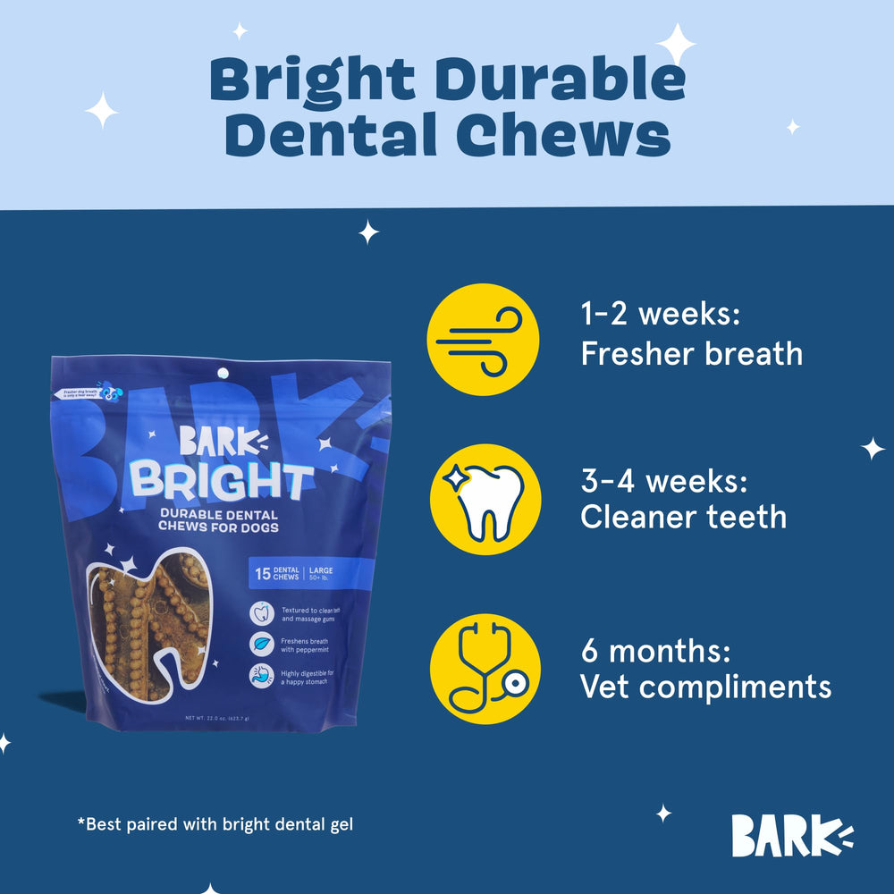 BARKBOX Bright dental chew sticks large dog shot highlights tough chewers