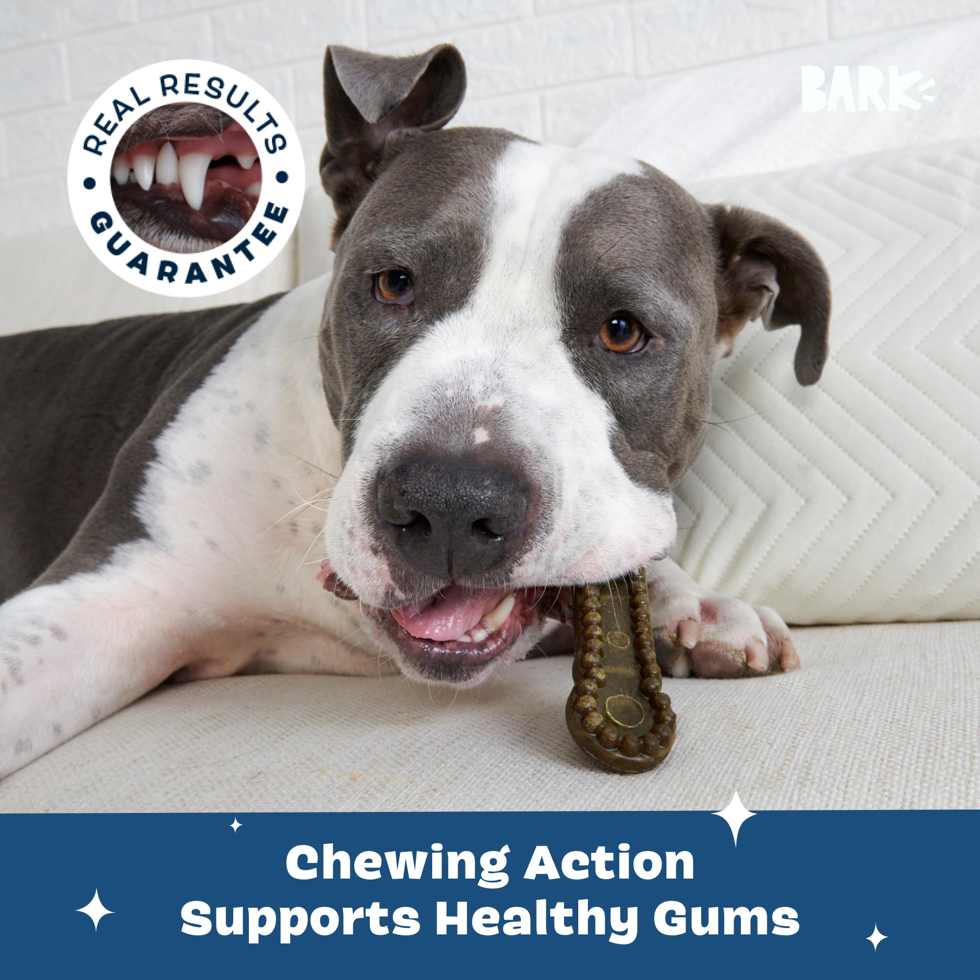 BARKBOX Bright dental chew sticks plaque-fighting closeup highlights tartar control potential