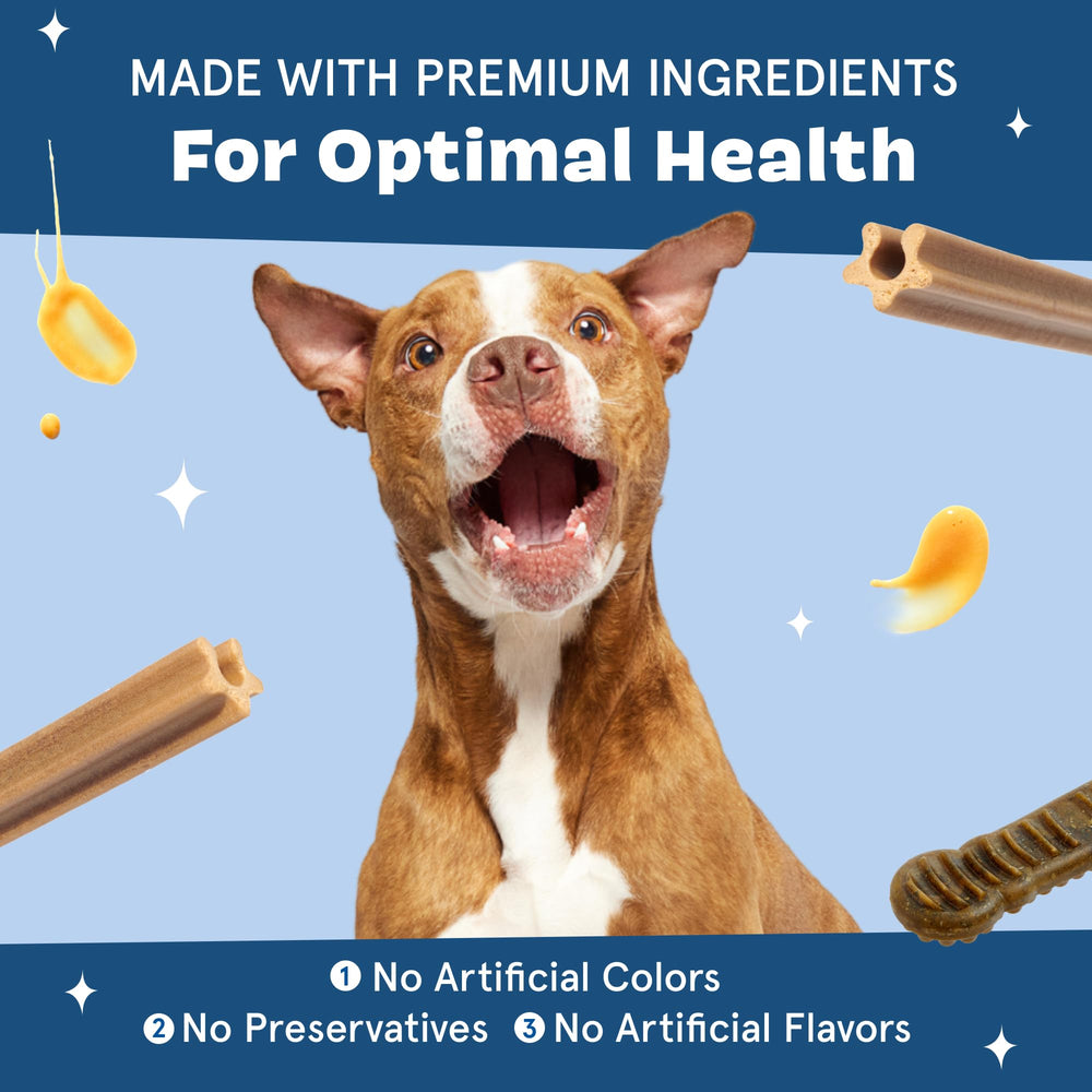 Barkbox Bright ingredients with no artificial colors, flavors, or grains.