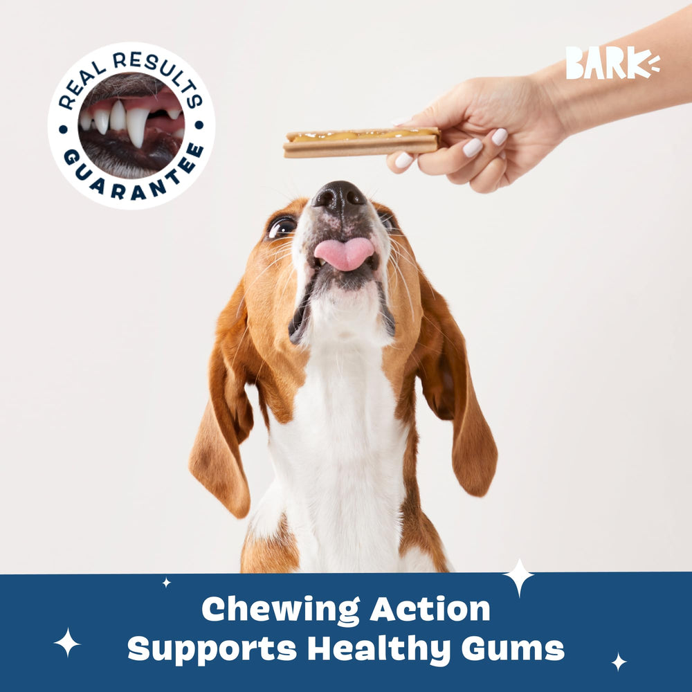 BarkBox Bright no artificial colors preserves natural look and safety for dogs