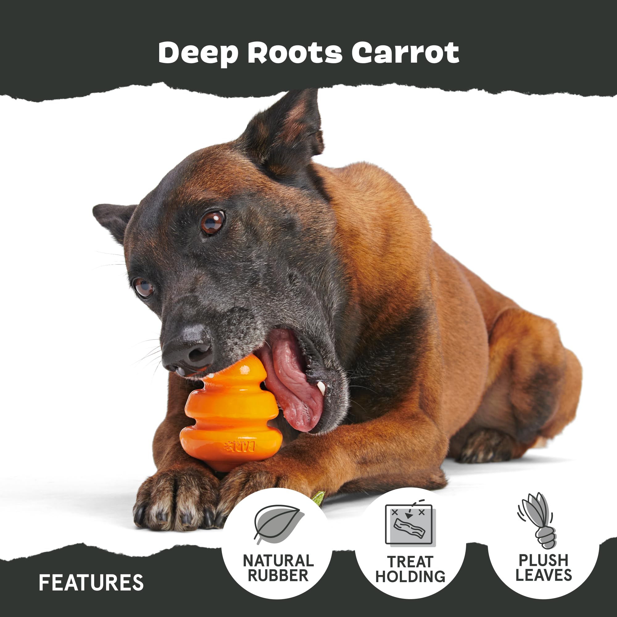 Barkbox carrot small dog toy almond scent enhances engagement