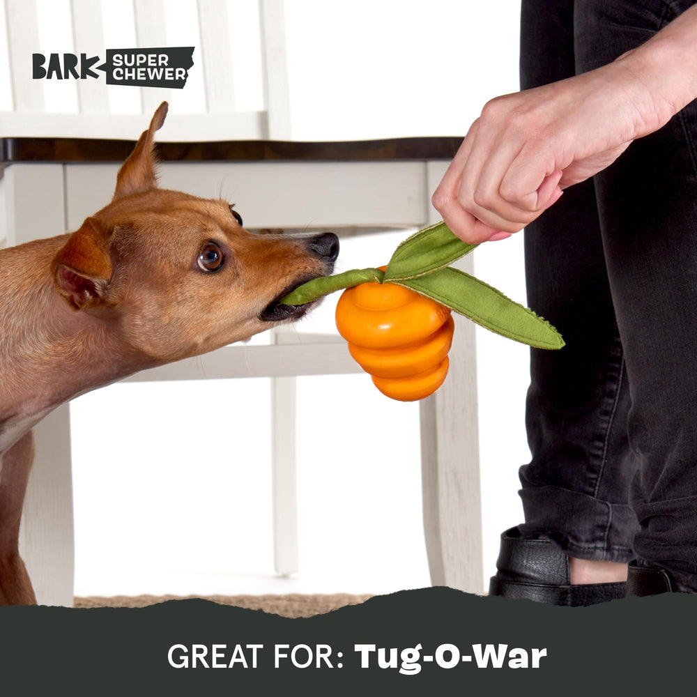 Barkbox carrot small dog toy grooves for smeared peanut butter
