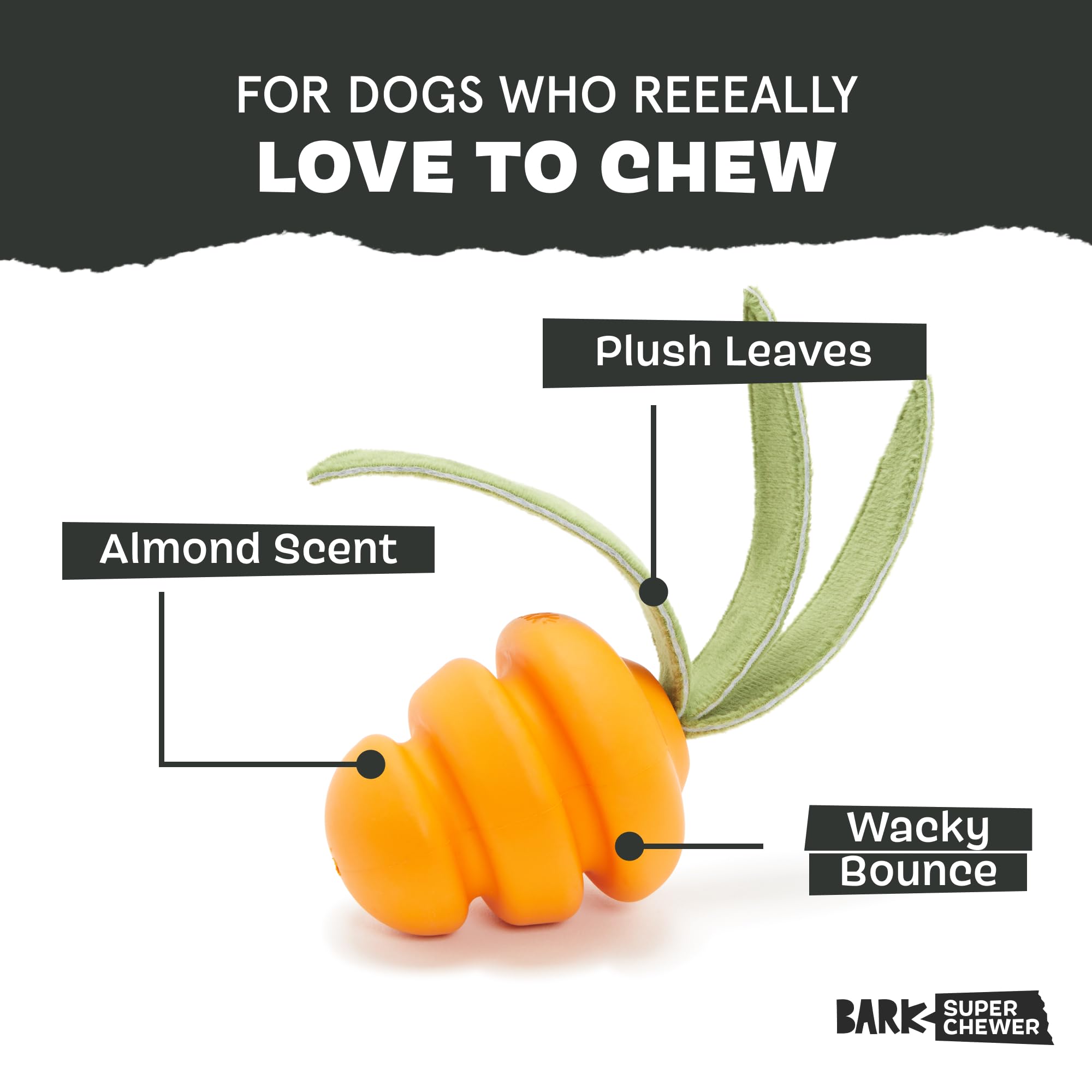 Barkbox carrot small dog toy with three plush leaves for tug games