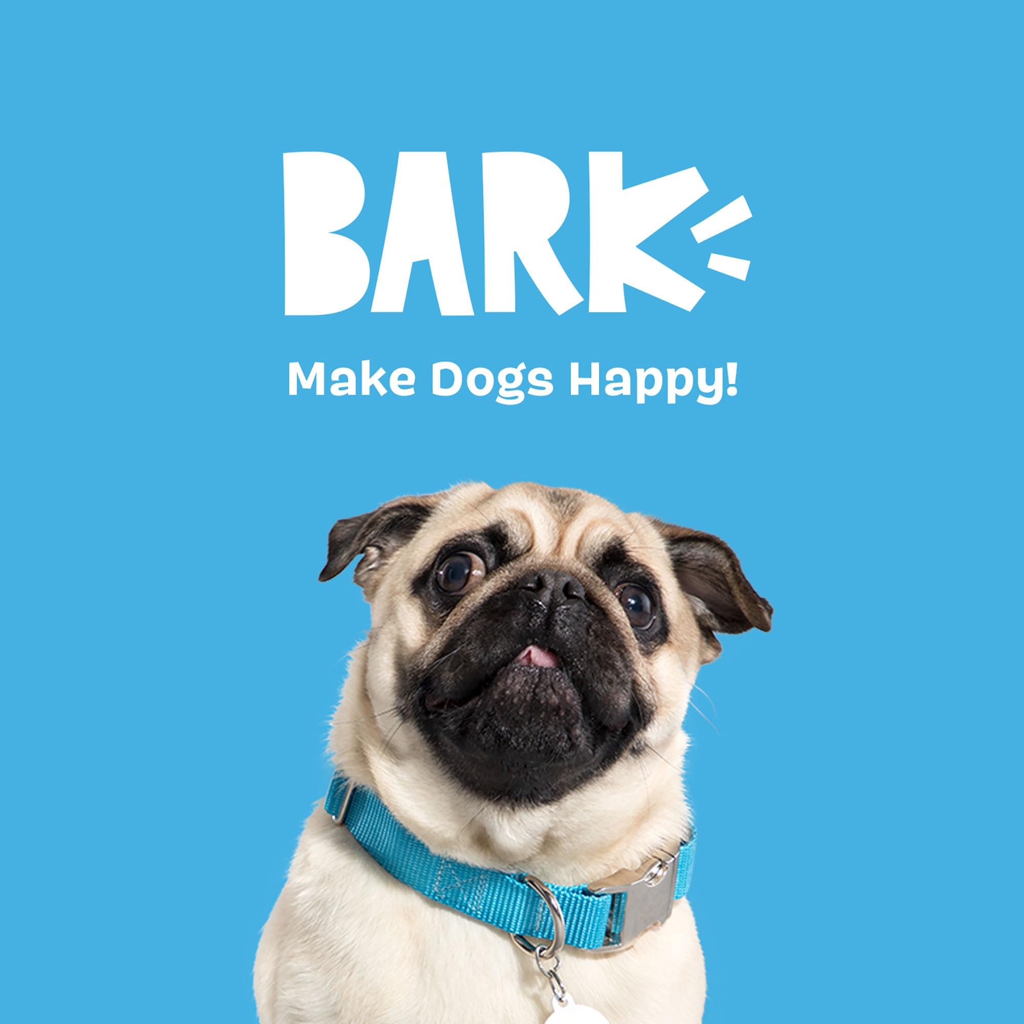 BarkBox Cinamutt Roll rope-free and mess-free design reduces cleanup concerns