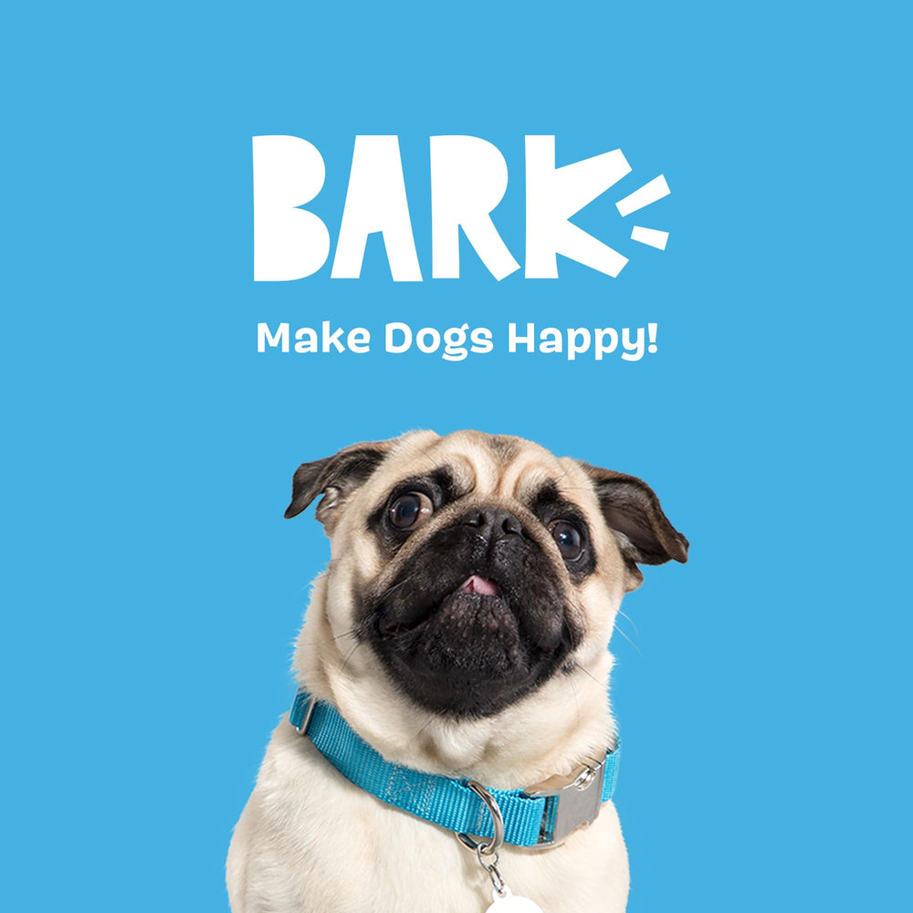BarkBox Cinamutt Roll rope-free and mess-free design reduces cleanup concerns