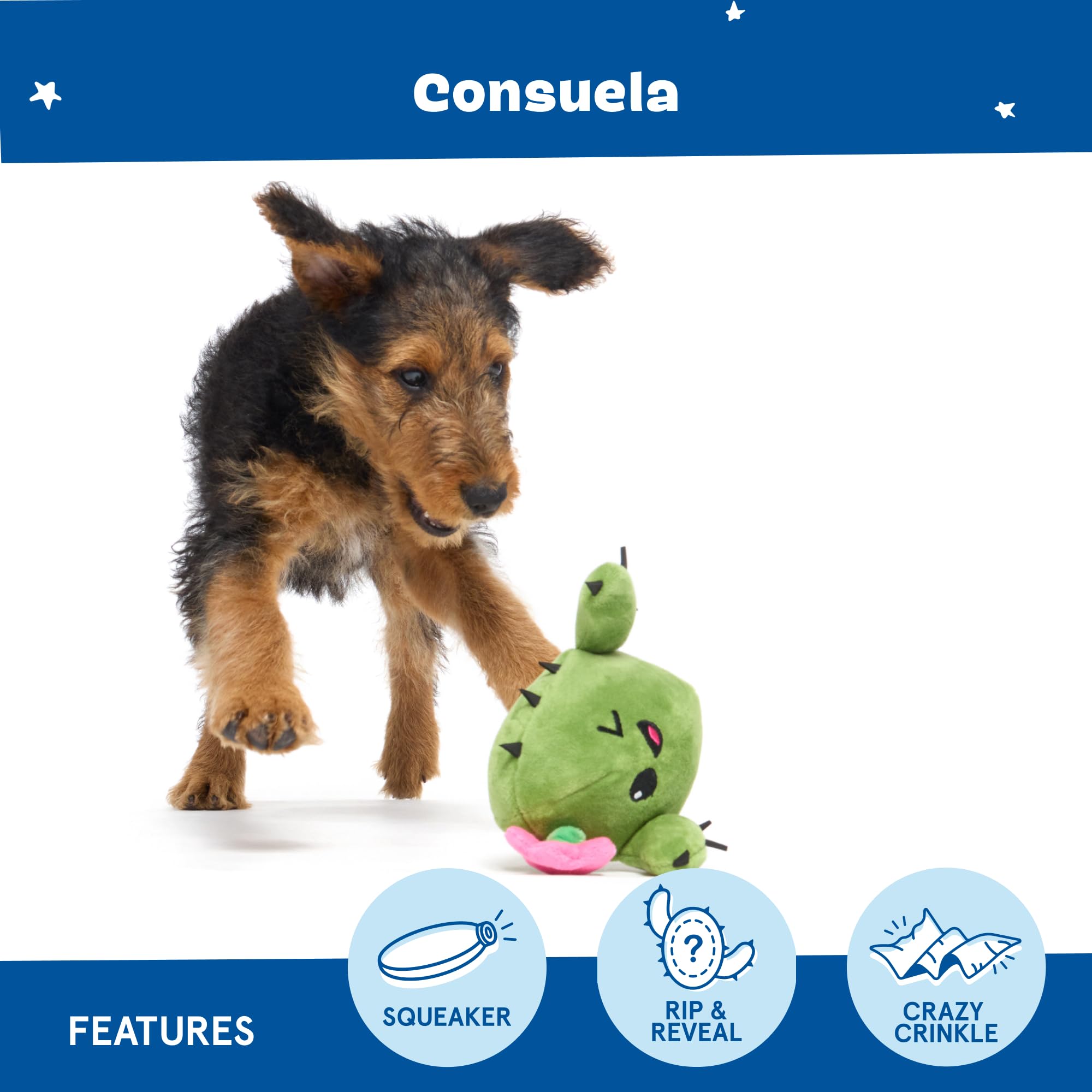 BarkBox Consuela Cactus crinkle texture close-up enhances sensory play.