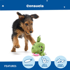 BarkBox Consuela Cactus crinkle texture close-up enhances sensory play.