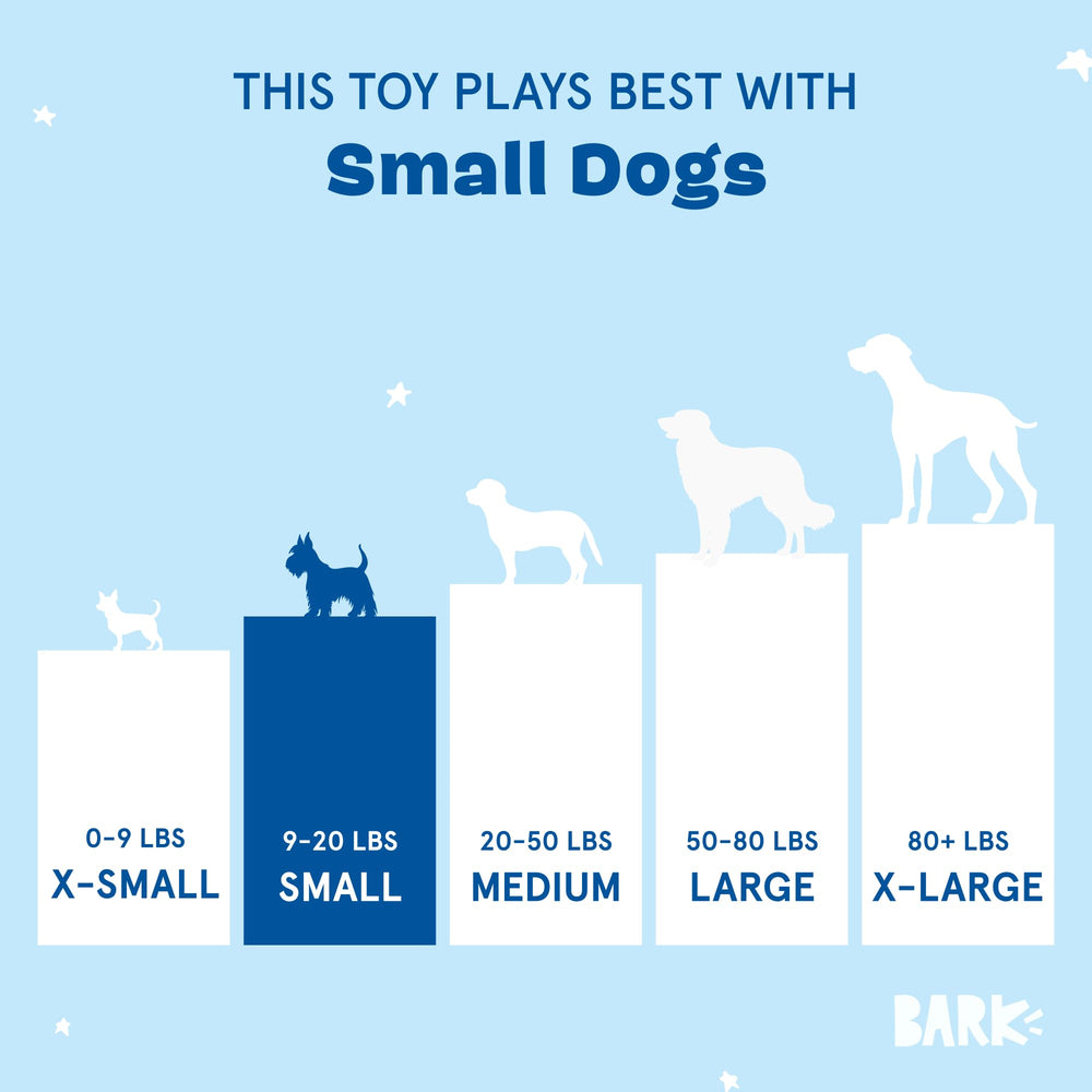 BarkBox Consuela Cactus dog playing indoors highlights indoor enrichment.