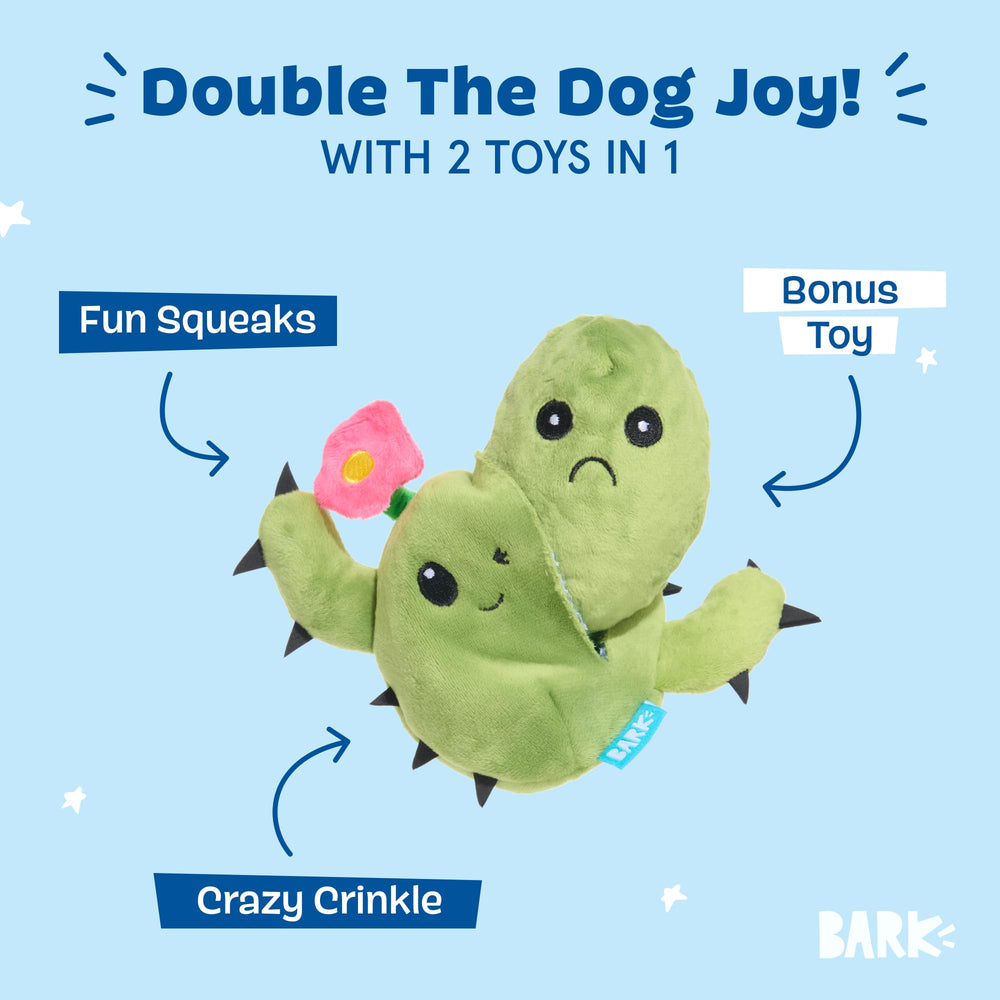 BarkBox Consuela Cactus tear-open reveal shows two-in-one play.