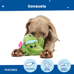 BarkBox Consuela for indoor and outdoor play with large dogs