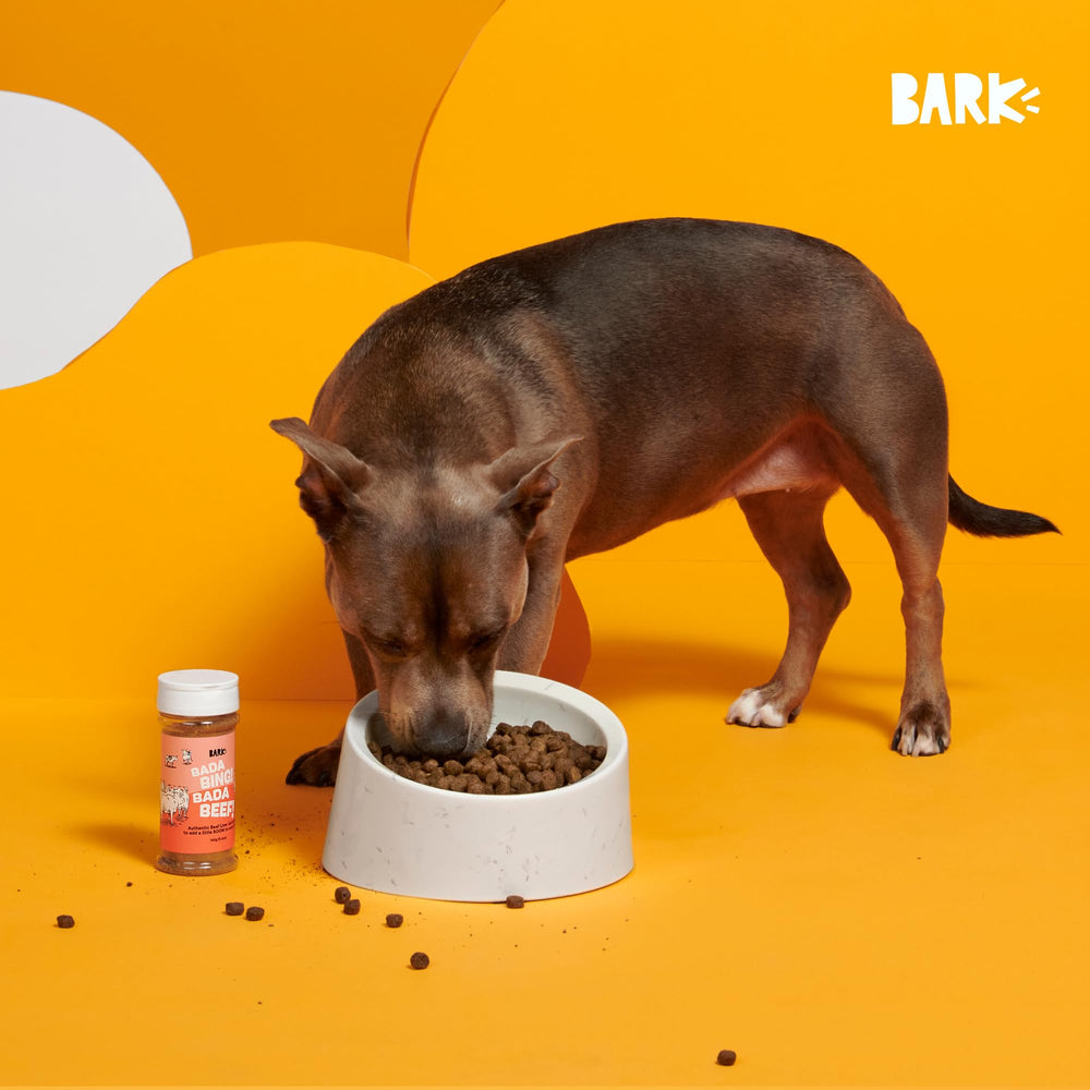 Barkbox dining-time scene shows topper transforming kibble into a tastier meal.