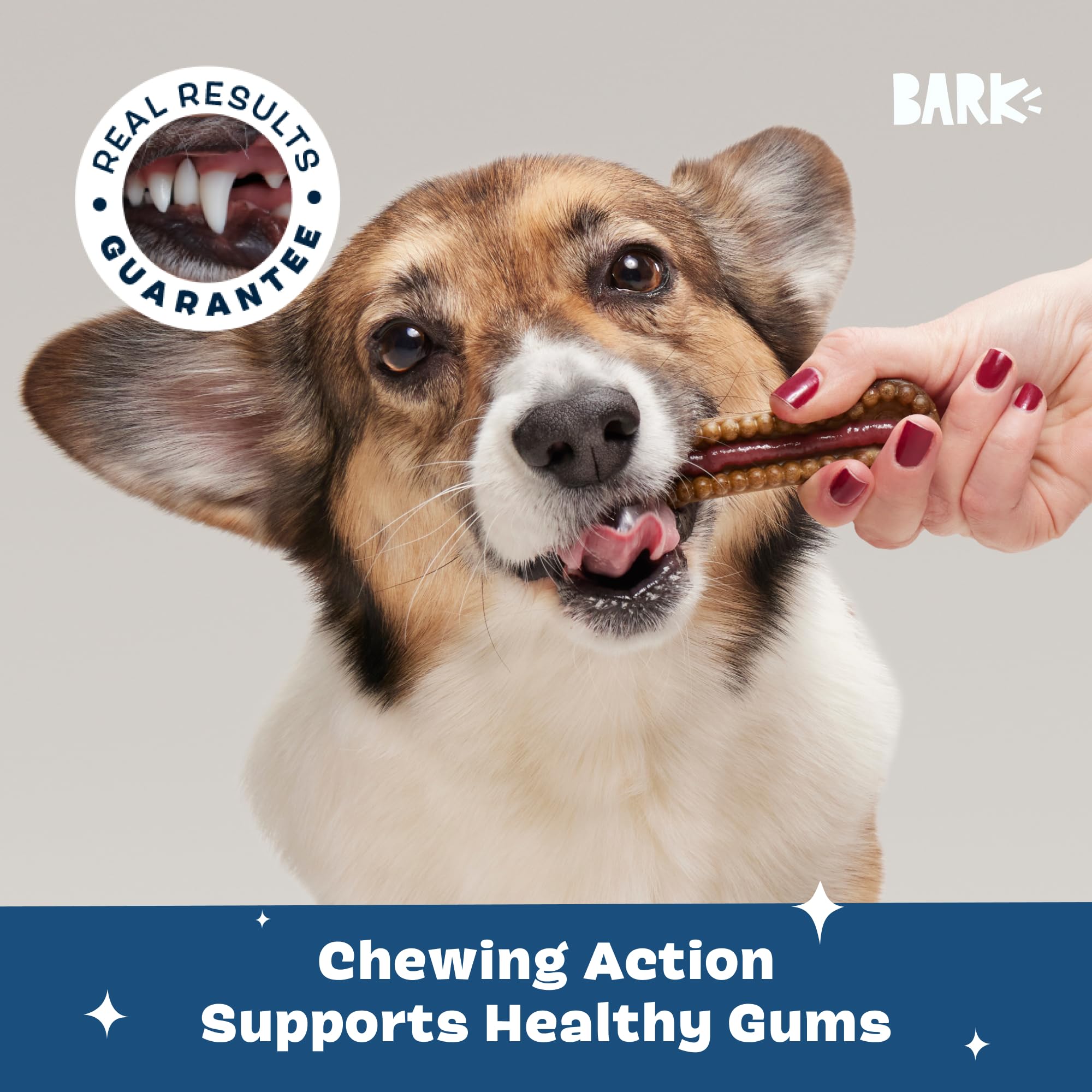 Barkbox Berry Mint gel and chews promoting fresh breath during cleaning