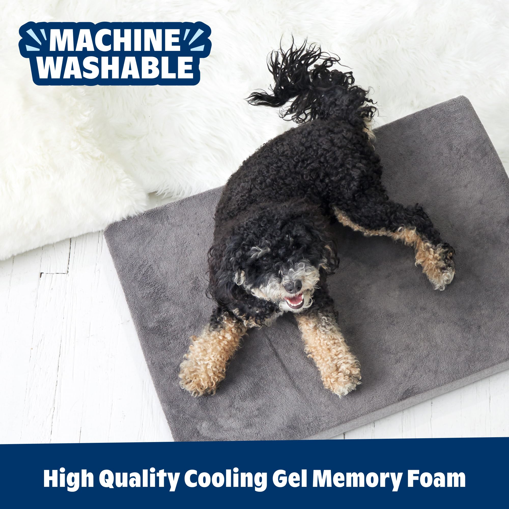 Barkbox Orthopedic Bed durable-stitched-edges closeup conveys long-lasting construction.