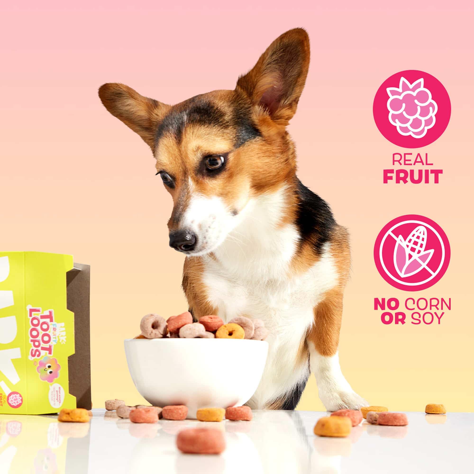 Barkbox Fruity Toot Loops: textura crujiente para masticación satisfactoria.