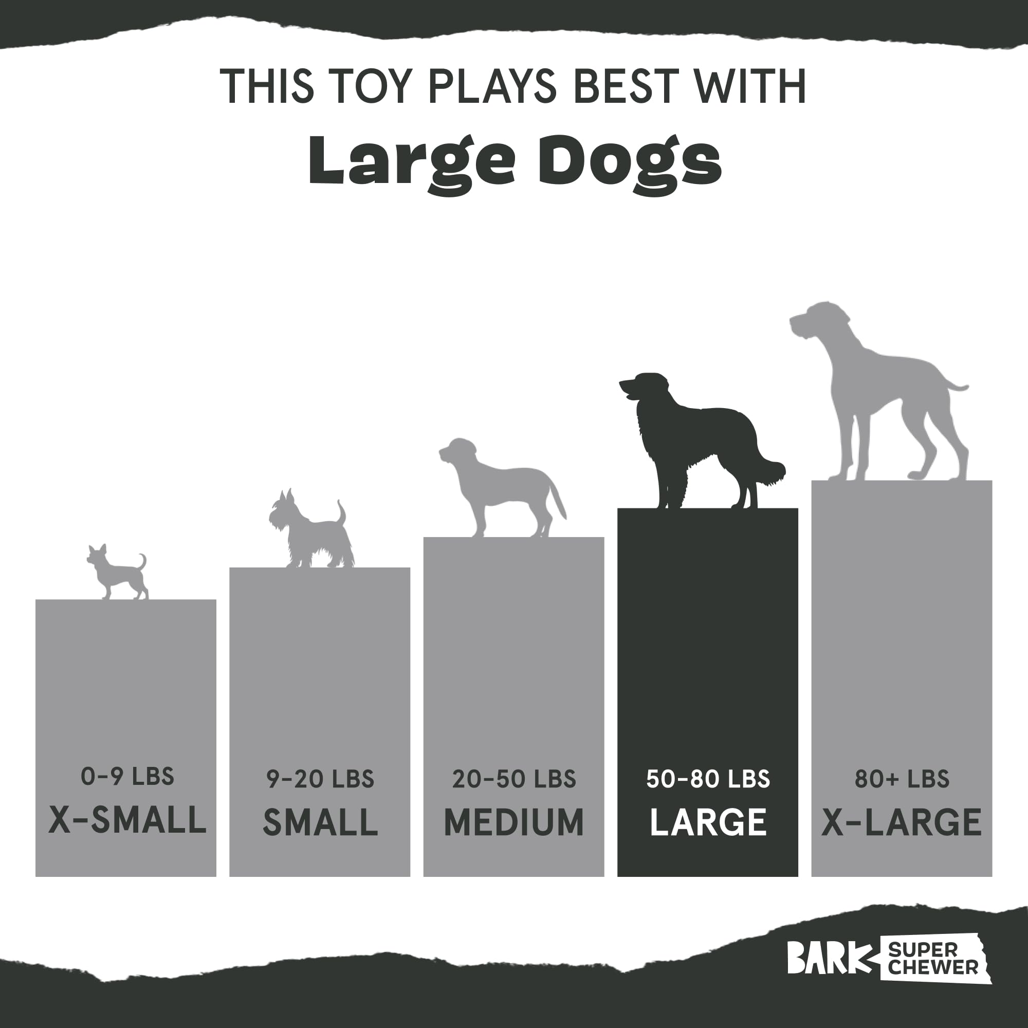 Barkbox Get Ripped Margrrrita plush exterior with durable rubber core