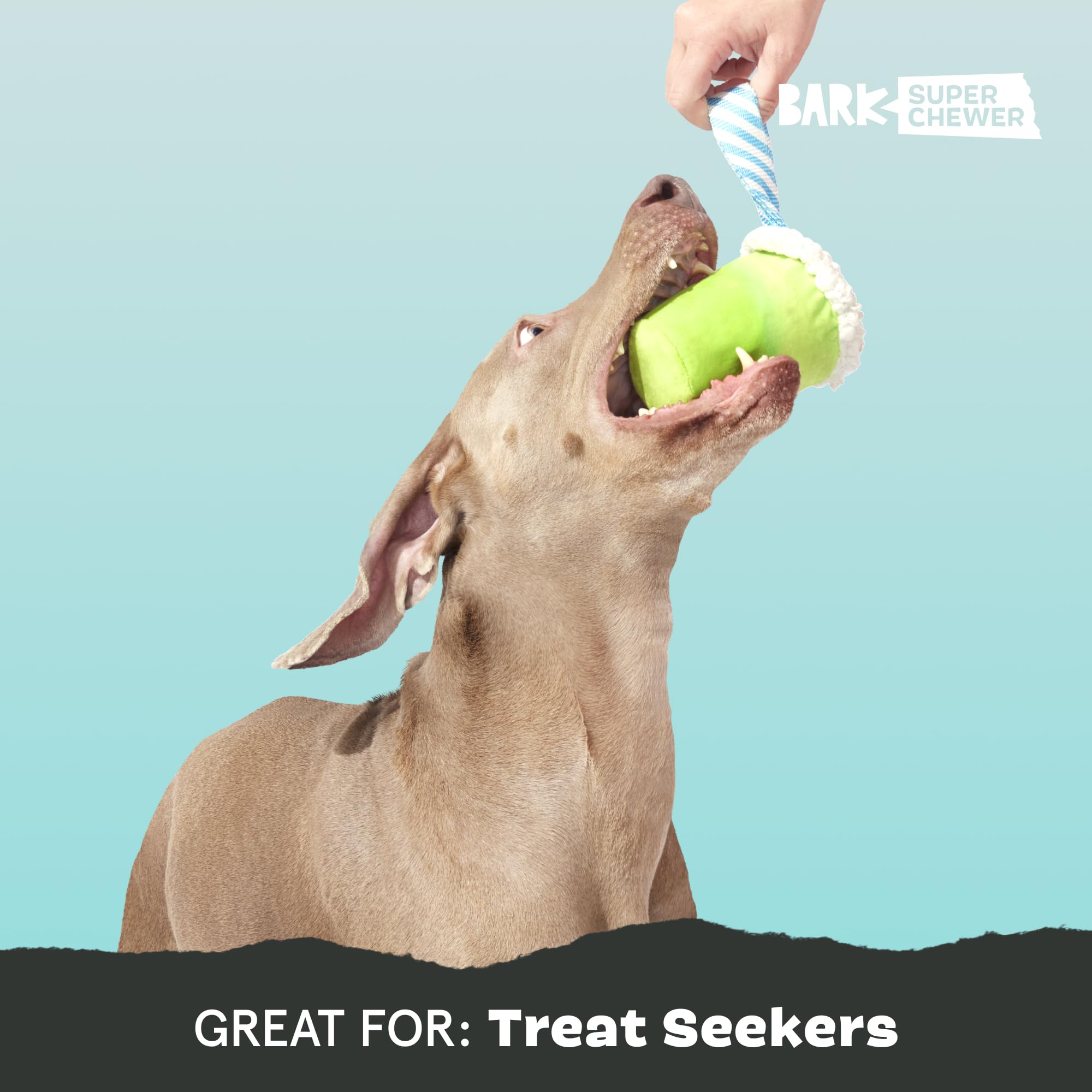 Barkbox Get Ripped Margrrrita two-in-one design for large-dog play
